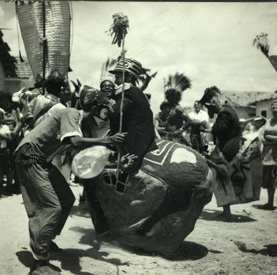 Bumba Meu Boi, festa popular