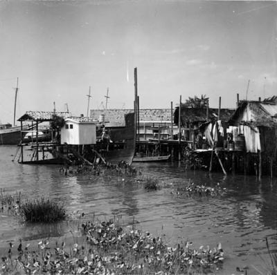 Vila da Barca, palafitas flutuantes