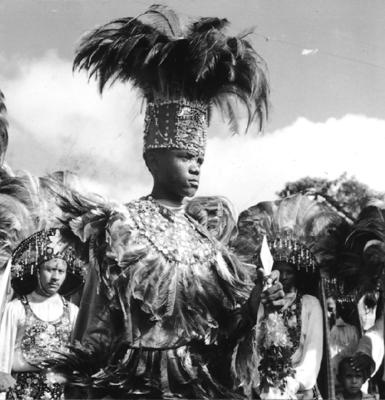 Bumba meu boi, festa popular