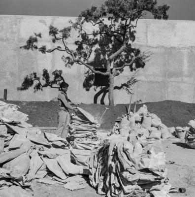 Cidade Universitária da Universidade de Brasília