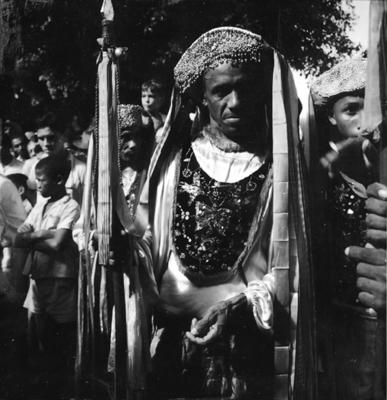 Bumba meu boi, festa popular