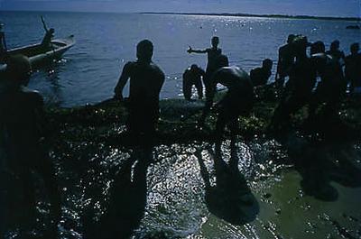 Série Bahia Antiga e Nova