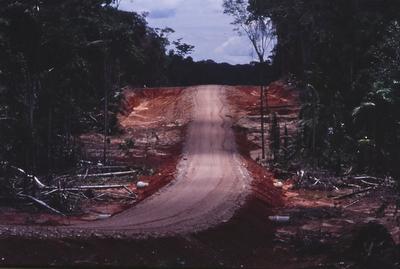 Estrada em meio à floresta