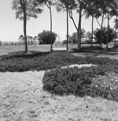 Residência de Olivo Gomes, projeto dos arquitetos Rino Levi, Roberto Cerqueira César e Burle Marx