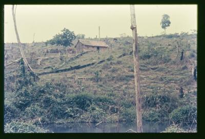Filmagens de "Iracema: uma transa amazônica", com direção de Jorge Bodanzky e Orlando Senna