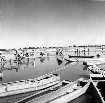 Cena do Rio São Francisco