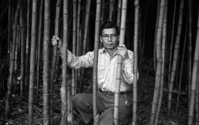 Autorretrato, bambuzal do sítio Tomita