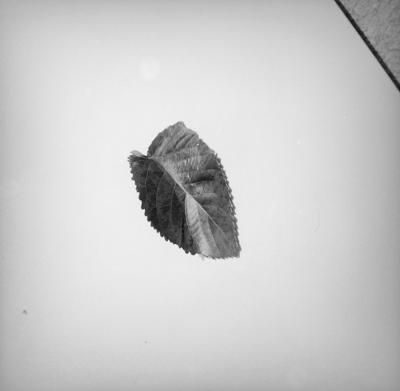 Campanha publicitária da agência Norton para ventilador General Electric