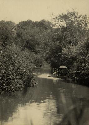 Barcos no rio Tamanduateí
