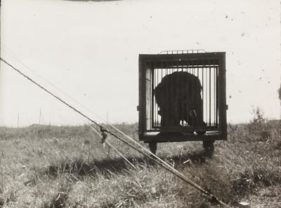 Fotograma do filme "O Profeta da Fome", de Maurice Capovilla