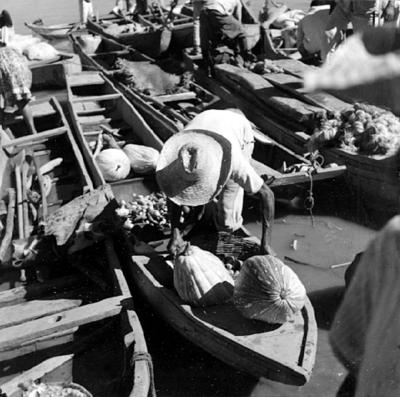 Cena do Rio São Francisco