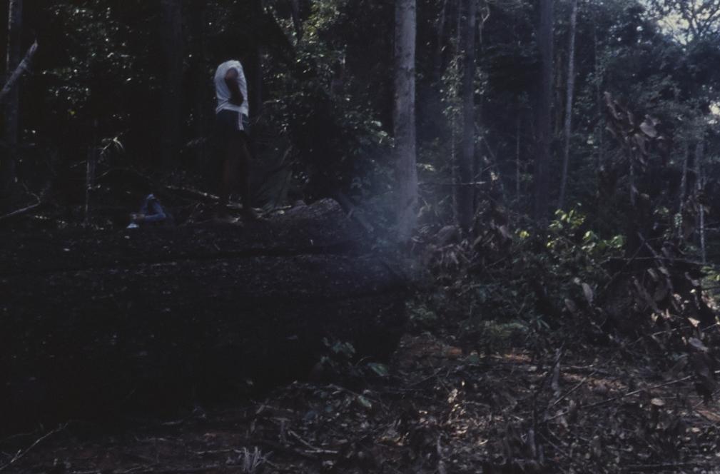 Expedição Pico da Neblina