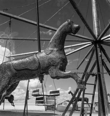 Cavalos de carrossel na margem do rio São Francisco