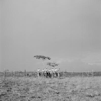 Ilha Mexiana, vaqueiros