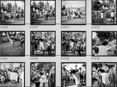 Bumba meu boi, festa popular