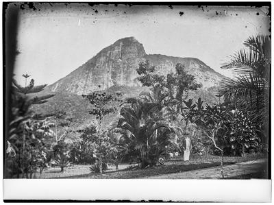 Morro do Corcovado a partir do Jardim Botânico
