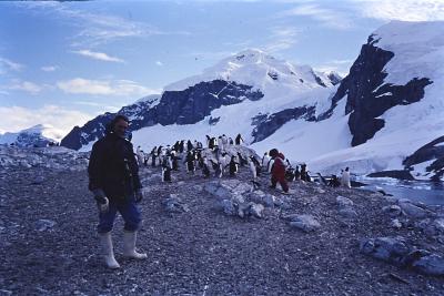 Andreas Wiedemann e Igor Belli