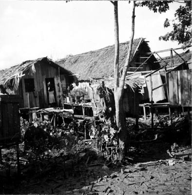 Vila da Barca, palafitas flutuantes