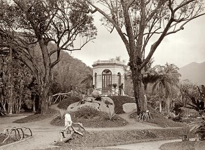 Interior do Jardim Botânico