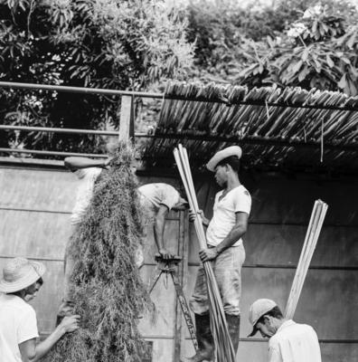 Preparativos para festa junina no Sítio Burle Marx