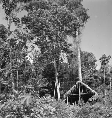 Série "Estrada de Ferro Tocantins"