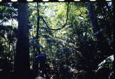 Projeto "Navegar Amazônia"