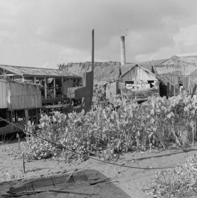 Vila da Barca, palafitas flutuantes