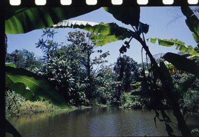 Projeto "Navegar Amazônia"