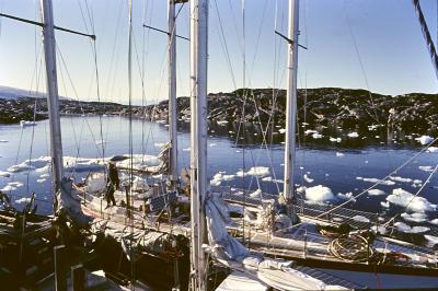 Aventuras de Igor na Antártida