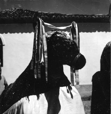 Bumba meu boi, festa popular