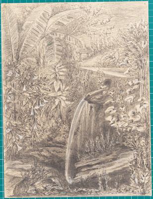 William's Shower Bath at "The Spot" 20th November 1854