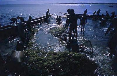 Série Bahia Antiga e Nova