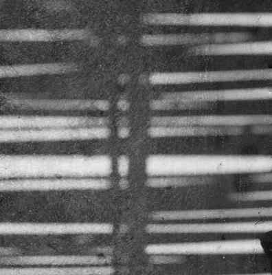 Sítio Burle Marx - sombra