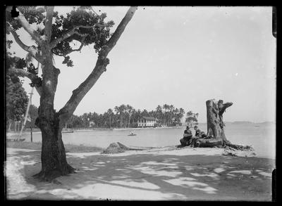 Praia José Bonifácio