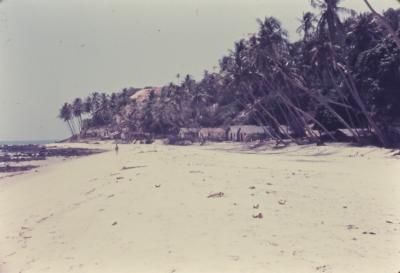Praia próxima ao Quilombo de Sibaúma