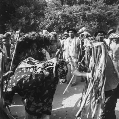 Bumba meu boi, festa popular