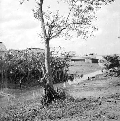 Vila da Barca, palafitas flutuantes