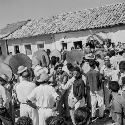 Bumba meu boi, festa popular