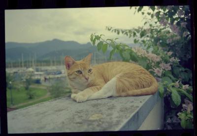 Familiares e amigos de Jorge Bodanzky