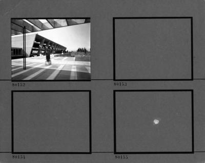 Museu de Arte Moderna - MAM, exposição de esculturas de Felicia Leirner