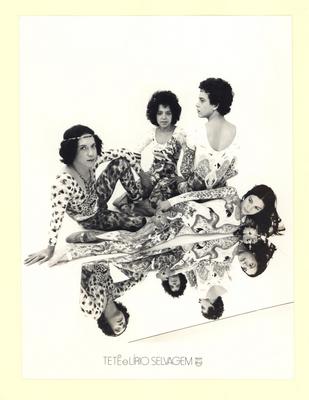 Tetê e o Lírio Selvagem