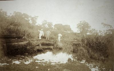 Trecho da Estrada Guahyra-Barretos