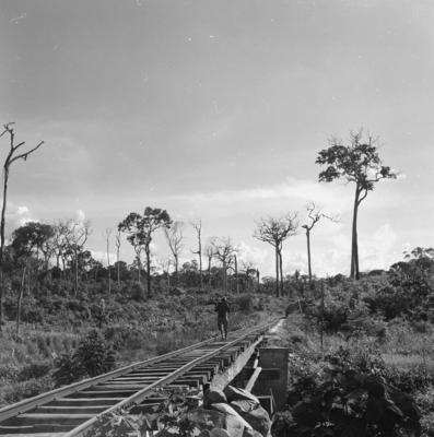 Série "Estrada de Ferro Tocantins"
