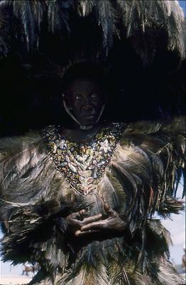 Série Bumba-meu-boi - Festa de São João