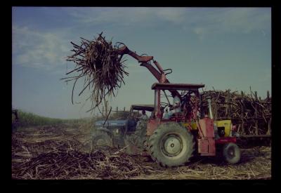 Produção de filme institucional sobre usinas de açúcar