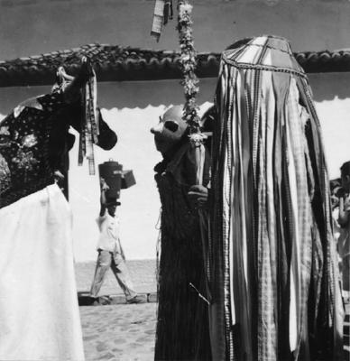 Bumba meu boi, festa popular