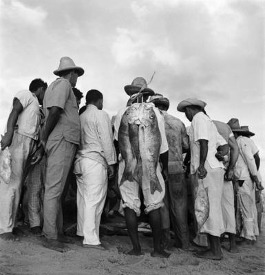 Jangadas e jangadeiros