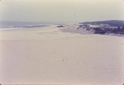 Dunas. Praia próxima ao Quilombo de Sibaúma