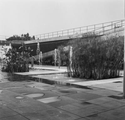 Museu de Arte Moderna - MAM