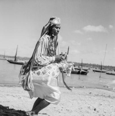 Bumba meu boi, festa popular